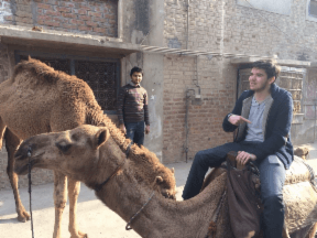 ns166-9d4cc5bb-d031-4543-ab9a-8cf8346e6ea7-v2